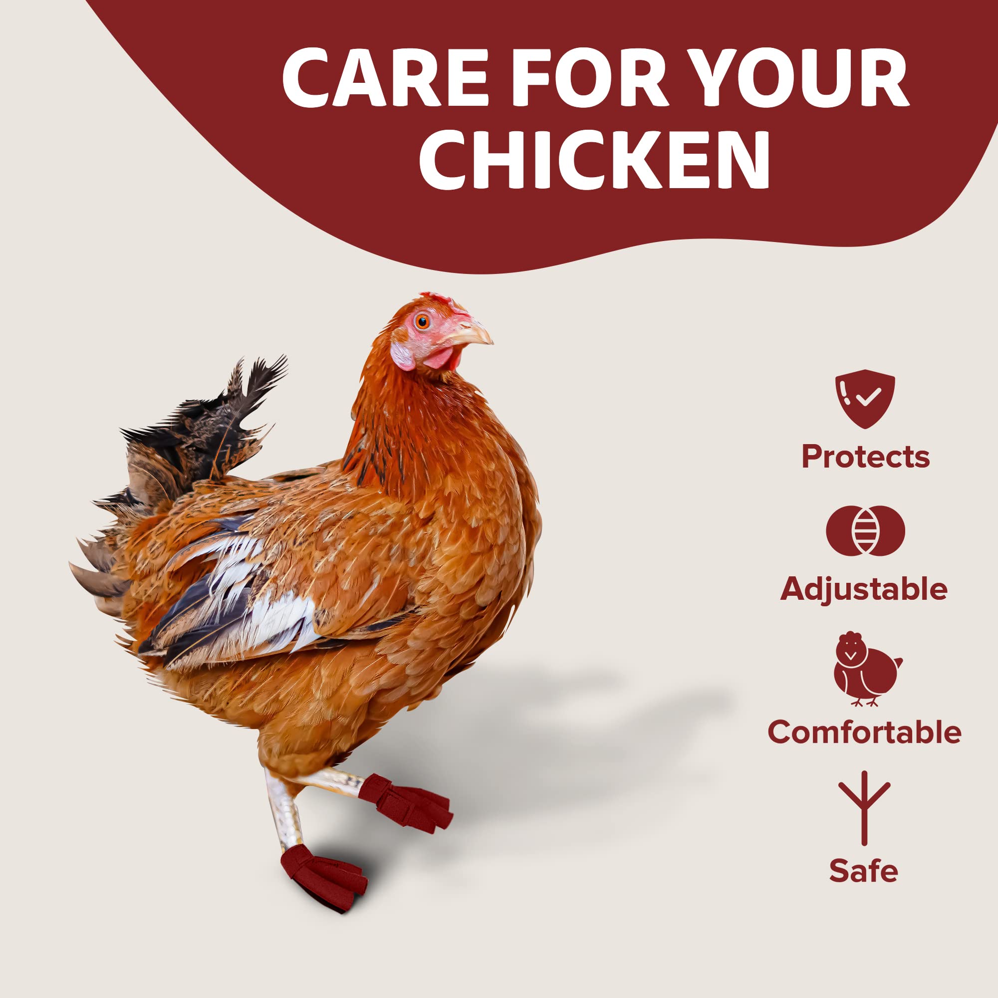 Birdy Bootie Chicken Shoes for Injured Feet - Protective Neoprene Footwear for Chicken, Open-Toe Design for Bumblefoot Relief, M